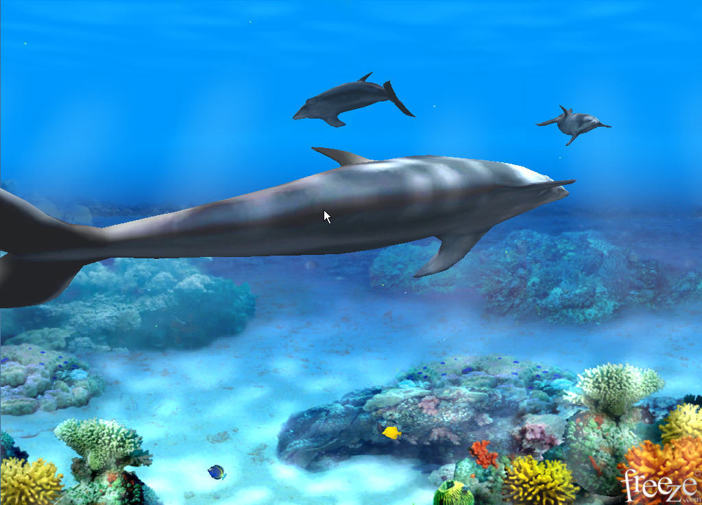 Free 3d dolphin screensaver download